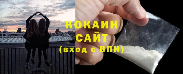 шишки Краснослободск