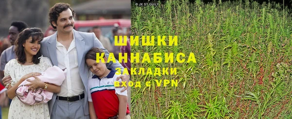 индика Козловка