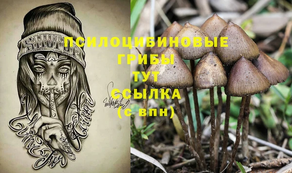 прущие крисы Костерёво