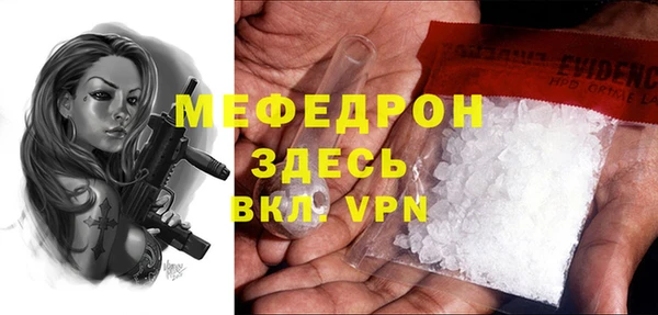 индика Козловка