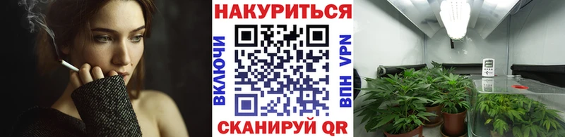 Конопля OG Kush Курильск